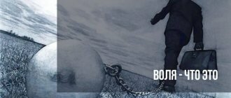 Воля – это функция психики, затрагивающая все аспекты человеческой жизни